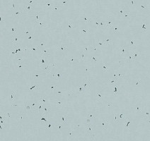 Линолеум Forbo Sphera Energetic 50223 frost фото 1 | FLOORDEALER